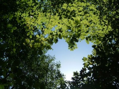 [CoracaoNatureza[1][5].jpg]